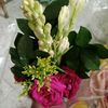 md.majid.molla4s