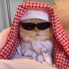 apdiaziz.76