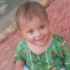 m.haseeb2515