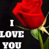 khoder.wardi