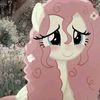 fluttershy.edit5