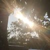 theobscuredone1