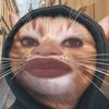 jkknnbbh515