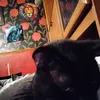 jake07062
