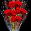 user9155928008055