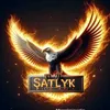 satlyk9530