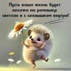 user2824152837936