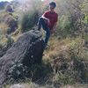 mjbhai2.2