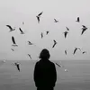 zzfomyc