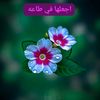 user781014837319