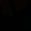 rehanf012