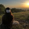 iyigeceler88