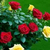 user8563271111160