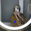 nina_aa617