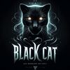 clan_black_cats