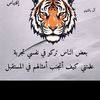 user2158052619178