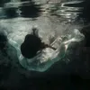 arinixx_4