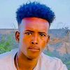 daljir.7