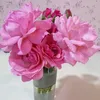 baran_alany