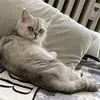 nahla12384
