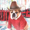 cutelondonpup