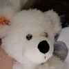 ndgamer25