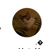 user7233736525821