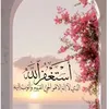 user4592492112528
