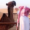 ᷂شقئ ☤ .