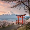 わび助 | wabisuke | AI風景