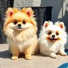 The Bear and Bailey Show