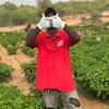 hamedagro.busines