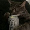 kms_caughtlackin