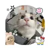 thuthao_541