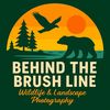behindthebrushline