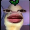 axzyy213