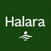 Halara UK Shop
