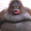 tylerjdh