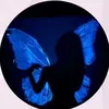 slideshowsfromcaitlin5