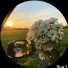 yenyen_808