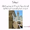 mrs.nadeem594