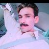 ali.muhammad4977
