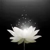 thoai.tran209