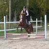 ponyeq_iida2