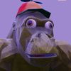 potatovr25