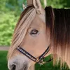 marli6596