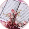 user3133303244126