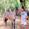 Mouss Taje