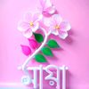 akashroy.bd