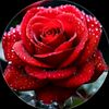 .nusrat.jahan.s4